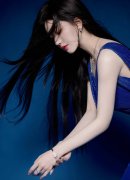 将地质查询拜访、