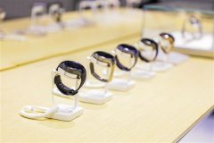 依托鸿蒙生态建立